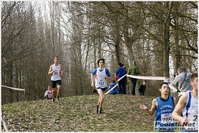 Clicca per vedere l'immagine alla massima grandezza