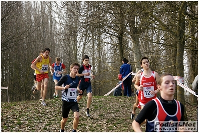 Clicca per vedere l'immagine alla massima grandezza