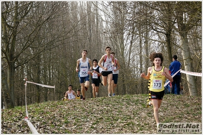 Clicca per vedere l'immagine alla massima grandezza