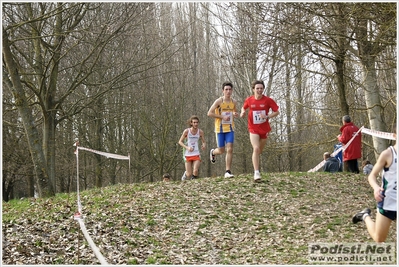 Clicca per vedere l'immagine alla massima grandezza
