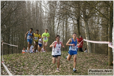 Clicca per vedere l'immagine alla massima grandezza