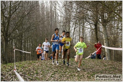 Clicca per vedere l'immagine alla massima grandezza
