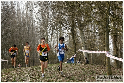 Clicca per vedere l'immagine alla massima grandezza
