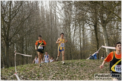 Clicca per vedere l'immagine alla massima grandezza