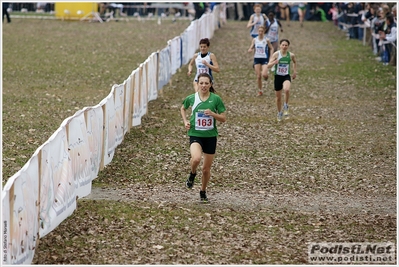Clicca per vedere l'immagine alla massima grandezza
