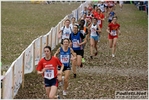 correggio_cds_04_03_2012_stefano_morselli_2014.JPG