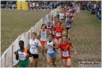 correggio_cds_04_03_2012_stefano_morselli_2016.JPG