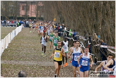 Clicca per vedere l'immagine alla massima grandezza