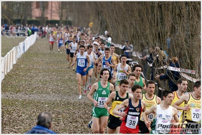 Clicca per vedere l'immagine alla massima grandezza