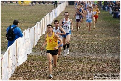 Clicca per vedere l'immagine alla massima grandezza