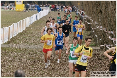 Clicca per vedere l'immagine alla massima grandezza
