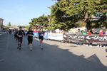 IMG_4439.JPG