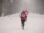 IMG_7882.JPG