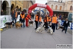 novellara_30km_18_03_2012_stefano_morselli_0325.JPG