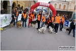 novellara_30km_18_03_2012_stefano_morselli_0326.JPG