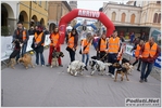 novellara_30km_18_03_2012_stefano_morselli_0327.JPG