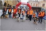 novellara_30km_18_03_2012_stefano_morselli_0328.JPG