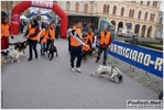 novellara_30km_18_03_2012_stefano_morselli_0329.JPG