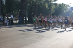 Nome del file=0197.jpg
Dimensione del file=159KiB
Dimensioni=1024x683
Aggiunta il=08 Ott 2012 0197.jpg