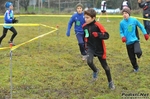 Nome del file=DSC_4977.jpg
Dimensione del file=174KiB
Dimensioni=1024x678
Aggiunta il=27 Dic 2012 DSC_4977.jpg