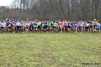 Clicca per vedere l'immagine alla massima grandezza