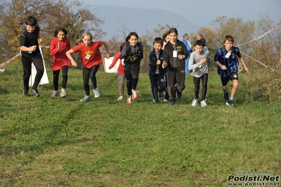 Clicca per vedere l'immagine alla massima grandezza