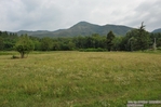 DSC_1726.jpg