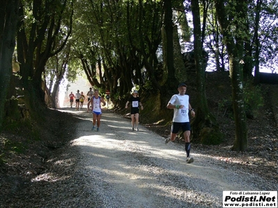 Clicca per vedere l'immagine alla massima grandezza