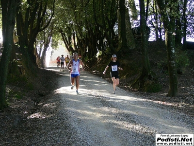 Clicca per vedere l'immagine alla massima grandezza