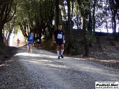 Clicca per vedere l'immagine alla massima grandezza