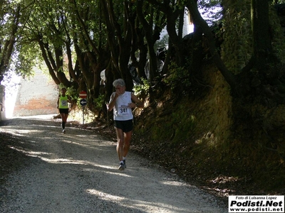 Clicca per vedere l'immagine alla massima grandezza