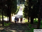 P1720234.jpg