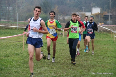 Clicca per vedere l'immagine alla massima grandezza