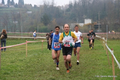 Clicca per vedere l'immagine alla massima grandezza