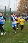 Nome del file=Immagine_6687.jpg
Dimensione del file=129KiB
Dimensioni=683x1024
Aggiunta il=03 Dic 2012 Immagine_6687.jpg