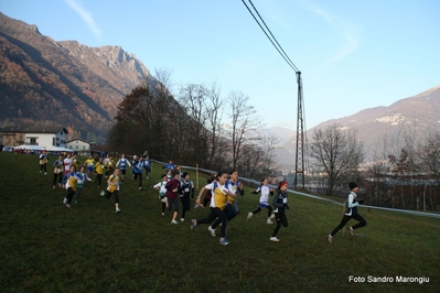 Clicca per vedere l'immagine alla massima grandezza