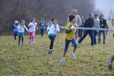 Clicca per vedere l'immagine alla massima grandezza