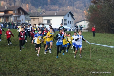 Clicca per vedere l'immagine alla massima grandezza