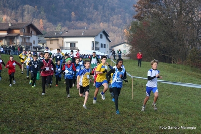 Clicca per vedere l'immagine alla massima grandezza