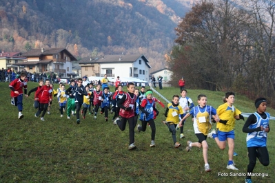 Clicca per vedere l'immagine alla massima grandezza