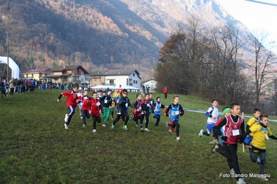 Clicca per vedere l'immagine alla massima grandezza