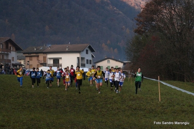 Clicca per vedere l'immagine alla massima grandezza