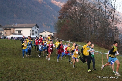 Clicca per vedere l'immagine alla massima grandezza