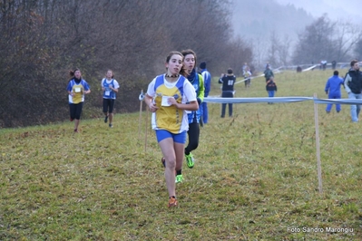 Clicca per vedere l'immagine alla massima grandezza