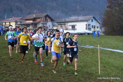 Clicca per vedere l'immagine alla massima grandezza