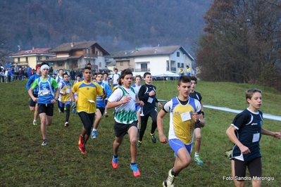 Clicca per vedere l'immagine alla massima grandezza