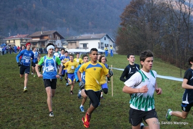 Clicca per vedere l'immagine alla massima grandezza