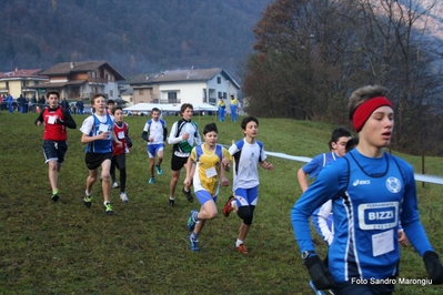 Clicca per vedere l'immagine alla massima grandezza