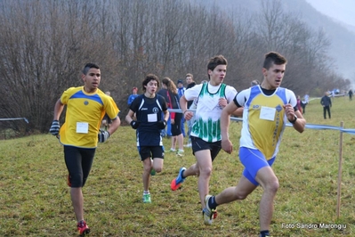 Clicca per vedere l'immagine alla massima grandezza