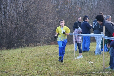 Clicca per vedere l'immagine alla massima grandezza